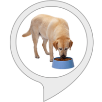 Launched several skills for Amazon&nbsp;Alexa